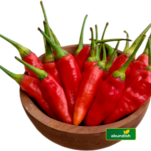 Shombo (500g)
