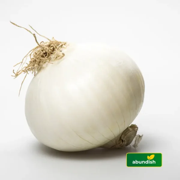 White Onions (1-Paint)