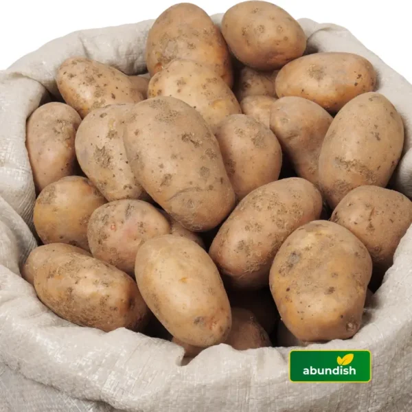 Irish Potatoes (1 paint)