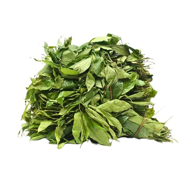 Afang Vegetable (1 bunch)