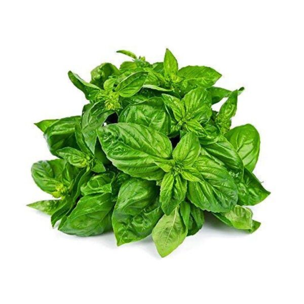Basil (1 bunch)