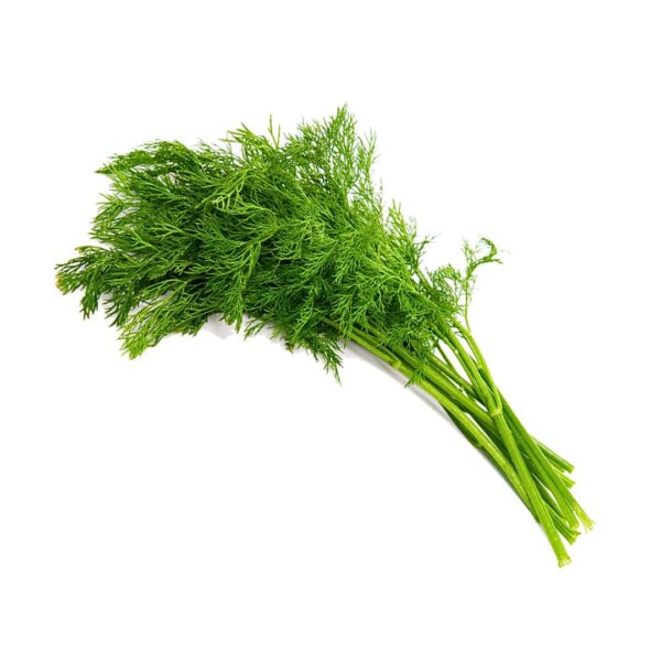 Dill (1 bunch)