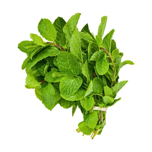 Scent leaves (1 bunch)