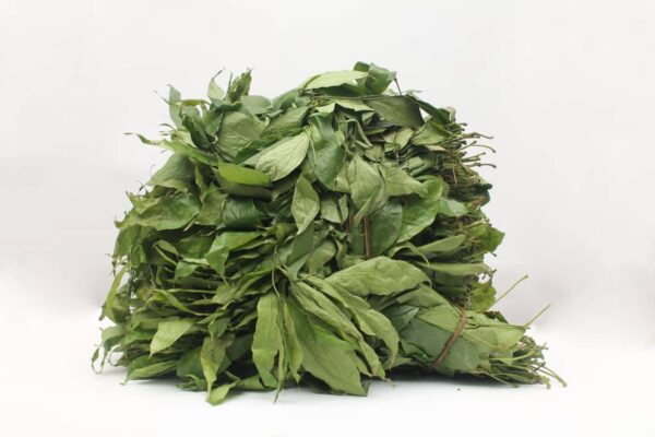 Ugu leaf ( 1 bunch)