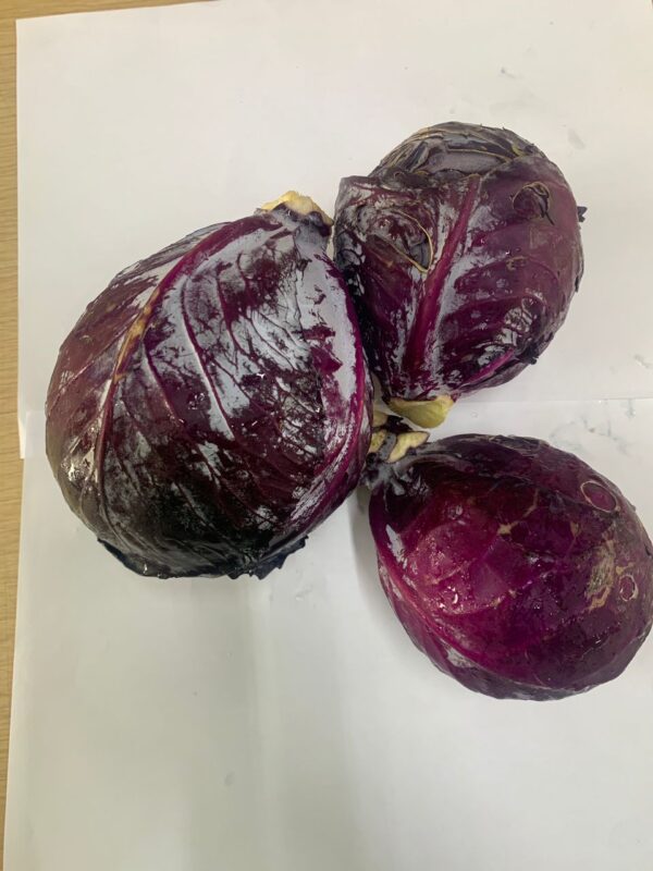 Purple Cabbage (1kg)
