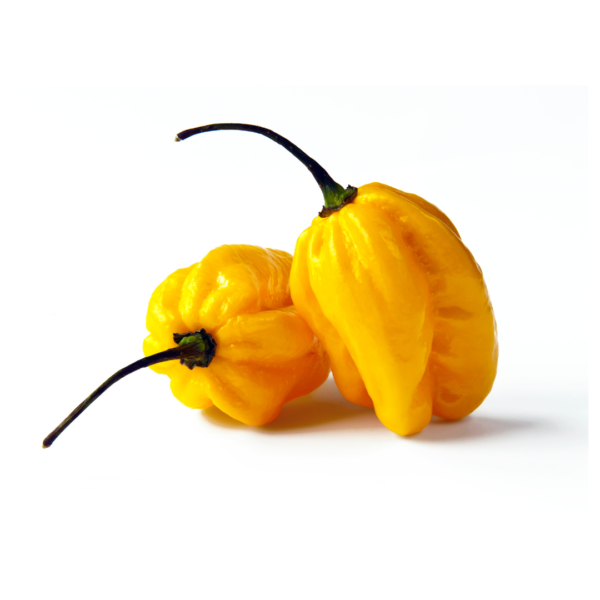 Yellow Habanero Pepper (500g)