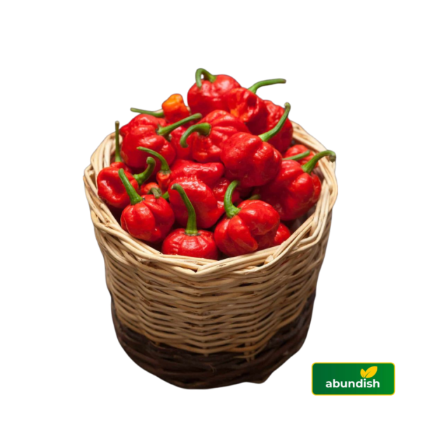 Red Habanero Pepper (500g)