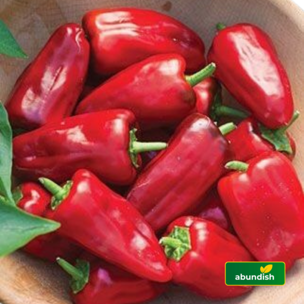 Tatashe (500g)