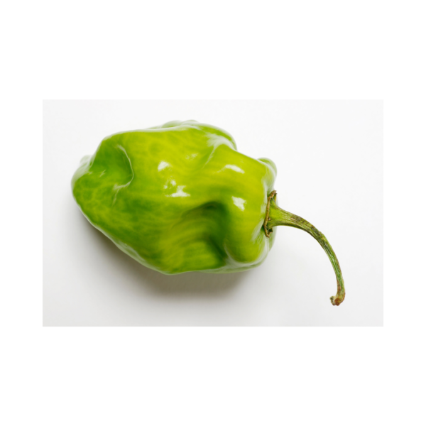 Green Habanero Pepper (500g)