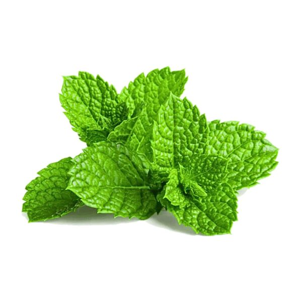 Mint Leaves